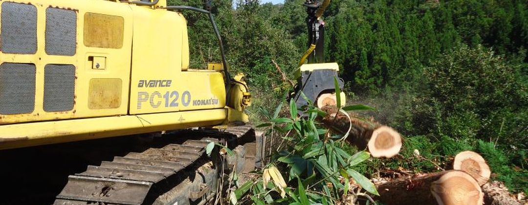 AFM 1000 stroke harvester head on Komatsu excavator.