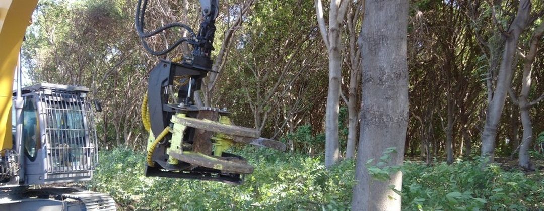 AFM 75 FH felling head